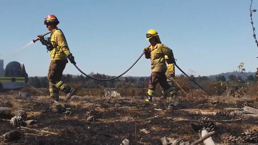 Destacan labor de Bomberos, Carabineros y CONAF en los incendios forestales