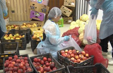 Más de 2.500 hogares reciben alimentos mediante los ecomercados de Fosis en Linares