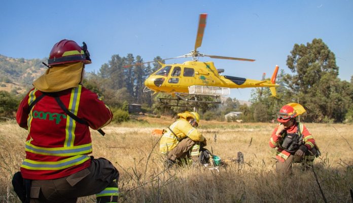 Conaf informa existencia de tres incendios forestales en Maule Sur
