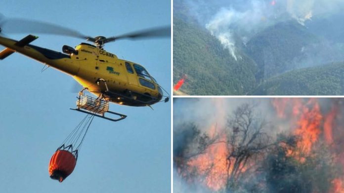 Balance de CONAF 10 febrero 2026: incendios forestales permanecen activos en Linares y Parral