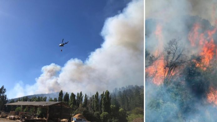 alerta roja incendio pejerrey linares SERNAPRED declaró Alerta Roja en Linares ayer por incendio forestal Cajón de Pejerrey, que ya ha consumido 120 hectáreas en el sector precordillerano de la comuna.