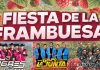 Yerbas Buenas se alista para celebrar la Fiesta de la Frambuesa 2026 Fiesta de la Frambuesa 2026 en Yerbas Buenas con música en vivo y participación comunitaria