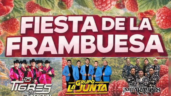 Fiesta de la Frambuesa 2026 en Yerbas Buenas con música en vivo y participación comunitaria