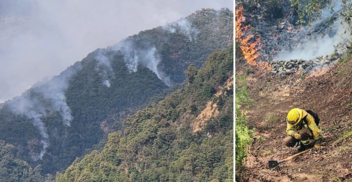 Linares: Incendio Cajón de Pejerrey se mantiene tras dos semanas de Alerta Roja