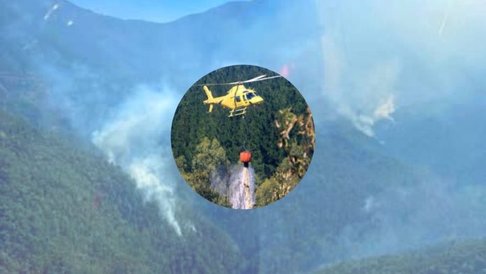 incendio cajón de pejerrey Incendio Cajón de Pejerrey mantiene Alerta Roja en comuna de Linares con 200 hectáreas afectadas