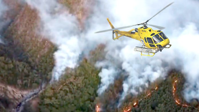 Incendio Cajón de Pejerrey consume 200 hectáreas en un día y mantiene a Linares en Alerta Roja