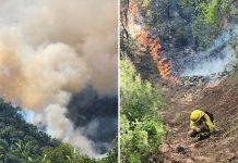 Alerta Roja se mantiene en Linares: incendio Cajón de Pejerrey ya alcanza 580 hectáreas al interior de Área Protegida Alerta Roja se mantiene en Linares: incendio Cajón de Pejerrey ya alcanza 580 hectáreas al interior de Área Protegida