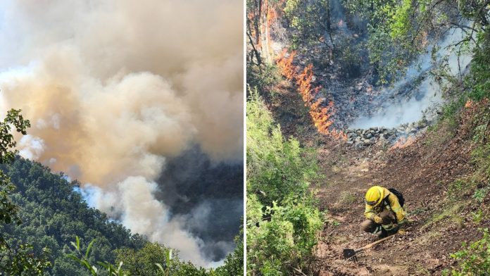 incendio pejerrey 18-02 Alerta Roja se mantiene en Linares: incendio Cajón de Pejerrey ya alcanza 580 hectáreas al interior de Área Protegida
