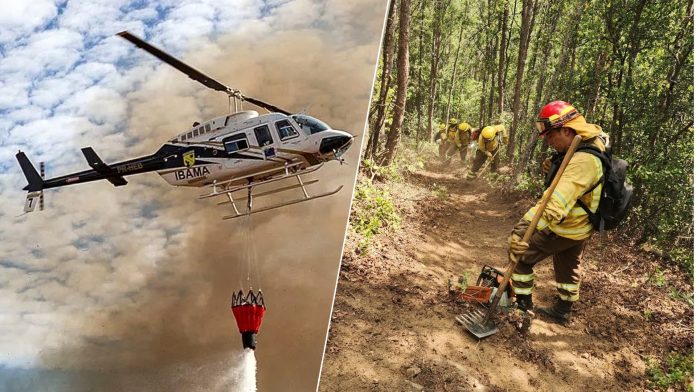 A más de una semana en Alerta Roja: Incendio Cajón de Pejerrey sigue sin control con 650 hectáreas consumidas