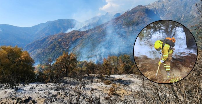 Incendio Cajón de Pejerrey - El Bosque Incendios forestales en Linares y Parral se mantienen contenidos y bajo alertas de SENAPRED.
