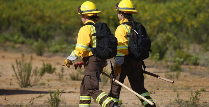 lienzo dimensiones En Línea Maule Logran contener avance de incendio Cajón de Pejerrey en Linares tras 28 días de combate.