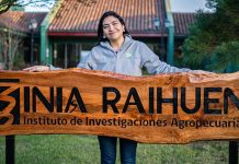 Carmen Gloria Morales es ratificada como directora regional de INIA Raihuén y proyecta nuevos desafíos para el agro maulino Carmen Gloria Morales es ratificada como directora regional de INIA Raihuén y proyecta nuevos desafíos para el agro maulino.