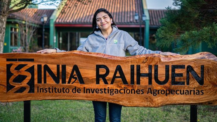 Carmen Gloria Morales es ratificada como directora regional de INIA Raihuén y proyecta nuevos desafíos para el agro maulino.