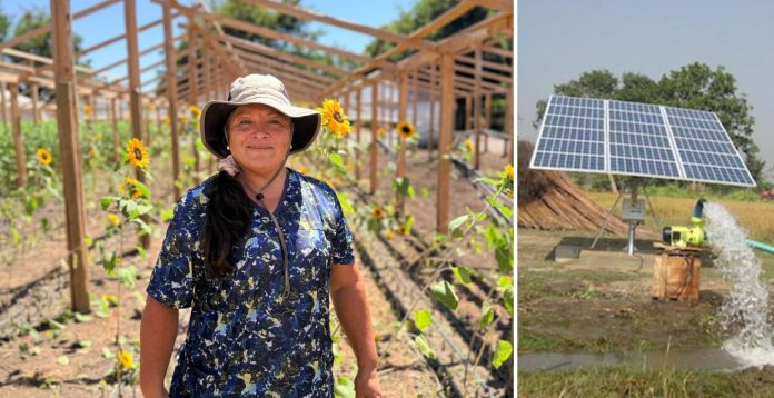 Comisión Nacional de Riego abre postulaciones a curso gratuito de riego fotovoltaico dirigido a mujeres agricultoras.