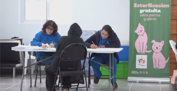 Villa Alegre inicia operativo gratuito que contempla 1.000 esterilizaciones para perros y gatos.