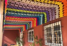 Los corredores de la Corporación Municipal de Cultura, la Biblioteca y la Sala Mirador Cultural de San Clemente hoy lucen una nueva intervención llena de color, creatividad y trabajo colaborativo.