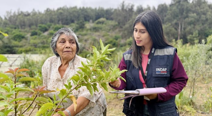 PDAS-nueva-hoja-ruta-indap-1g